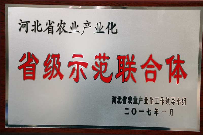 省级示范联合体